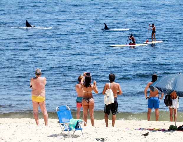 Camila Pitanga se encanta por baleias na Praia do Leblon (Foto: J.C.P/AgNews)