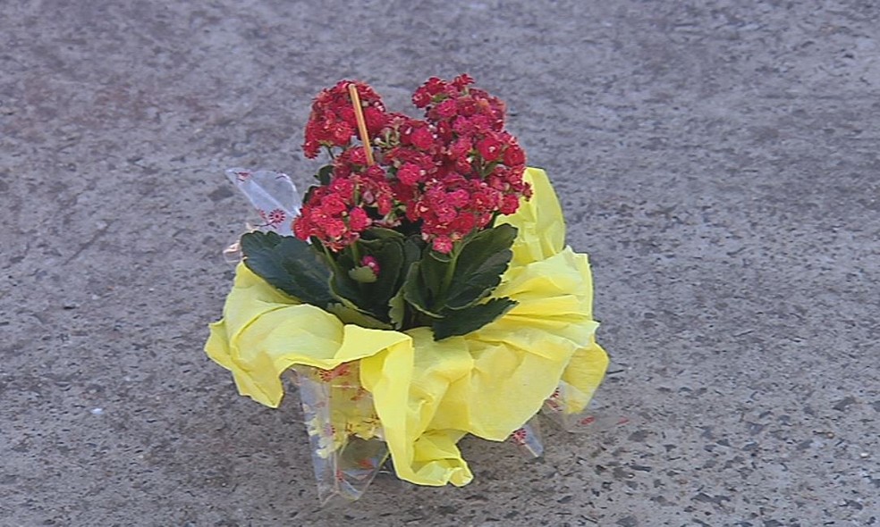 Bombom foi dado junto com uma flor e uma carta — Foto: Reprodução / TV TEM