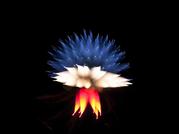 Imagem criada por fotógrafo David Johnson com fogos de artifício (Foto: David Johnson)