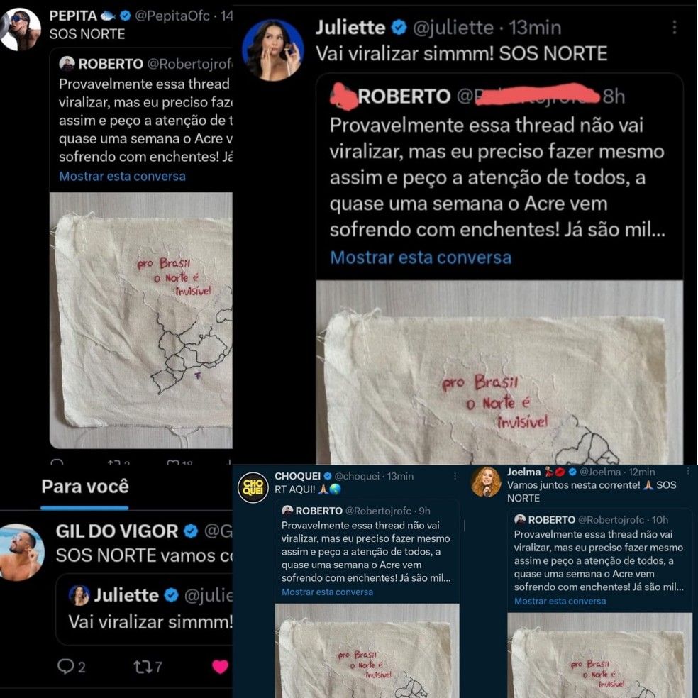 Vários famosos compartilharam tweets do estudante Roberto Júnior — Foto: Reprodução