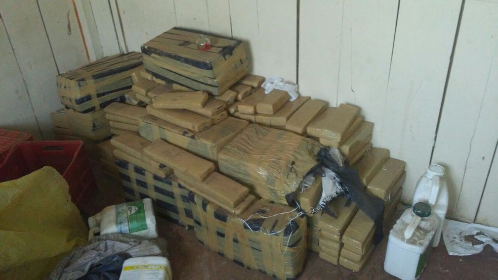 Maconha foi encontrada na casa de um sítio (Foto: Divulgação/Polícia Militar)