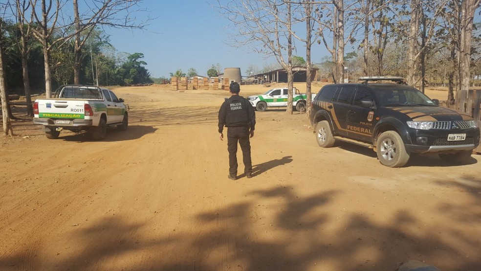 Operação Jurerei foi realizado no Vale do Jamari de Rondônia (Foto: Polícia Federal/Divulgação)