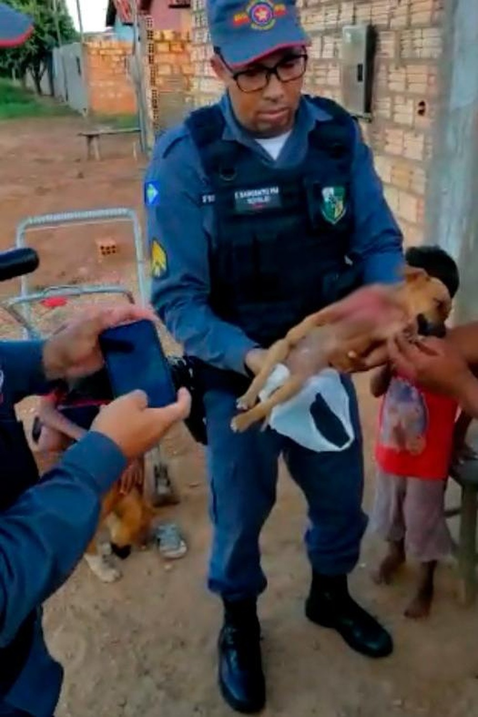Animal foi furtado de casa e esfaqueado — Foto: Polícia Militar/Divulgação