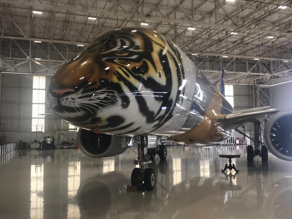 Aeronave foi pintado na sede da Embraer em São José dos Campos (Foto: Camilla Motta/G1)