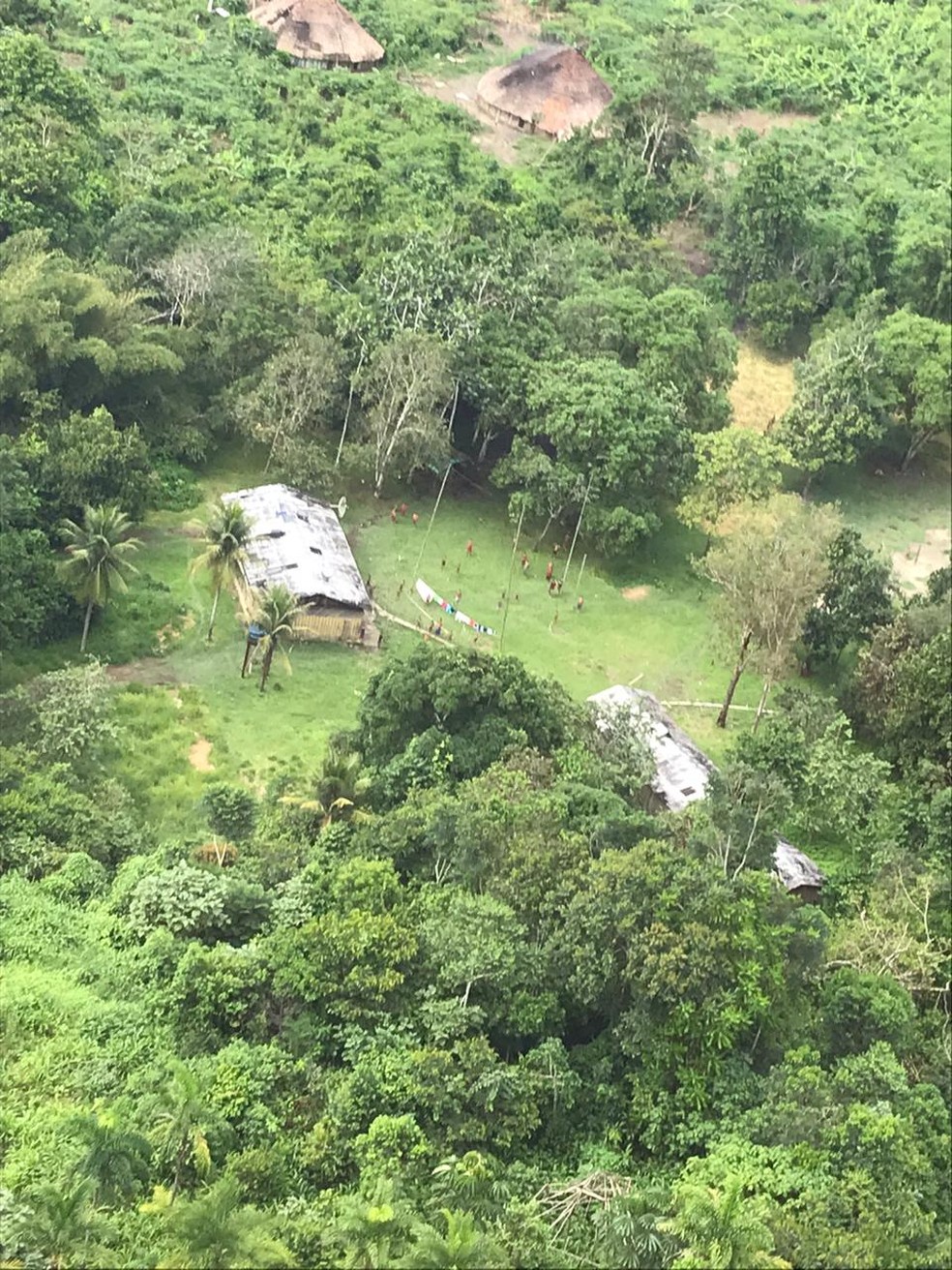 Região do Xitei, em Alto Alegre, ao Norte de Roraima — Foto: Junior Yanomami/Divulgação