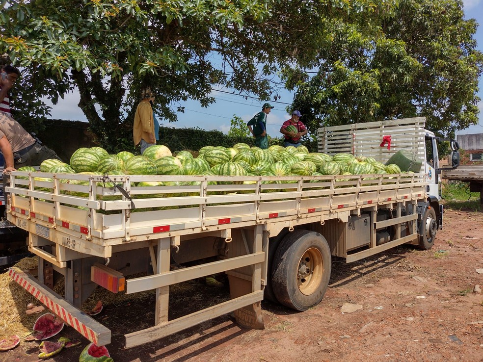 Polícia doa 14 toneladas de melancias apreendidas em ocorrência de tráfico de drogas  — Foto: Polícia Civil/ Divulgação