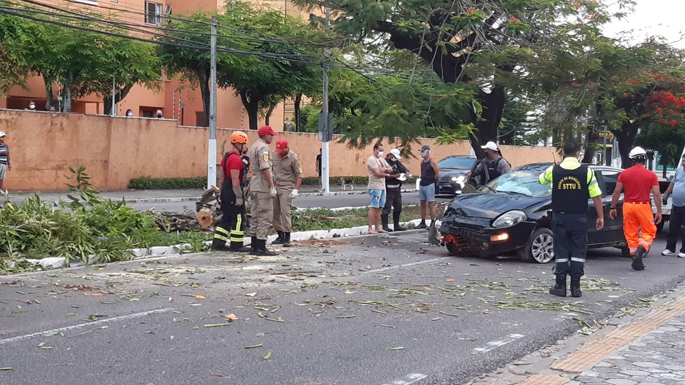 Veículo bateu e derrubou uma árvore na Avenida Romualdo Galvão, em Natal — Foto: Sérgio Henrique Santos/Inter TV Cabugi