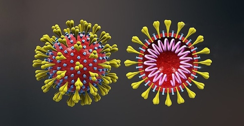 SARS-CoV-2, o novo coronavírus, responsável por causar a Covid-19. — Foto: Scientific Animations/Wikimedia Commons/Divulgação