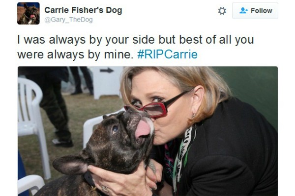 Gary se despede de Carrie Fisher (Foto: Reprodução Twitter)