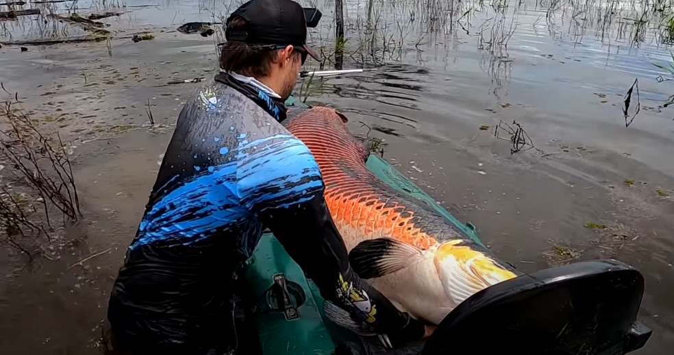 Fábio Baca arrumando o pirarucu no caiaque durante a pesca em Rondônia — Foto: Reprodução/Redes Sociais