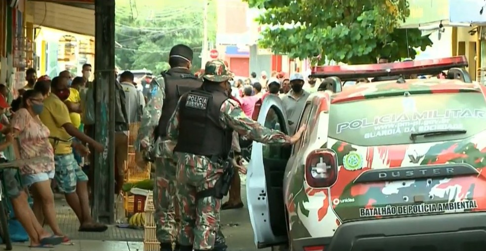 Os pássaros silvestres estavam em caixas fechadas e gaiolas pequenas — Foto: TV Clube/Reprodução