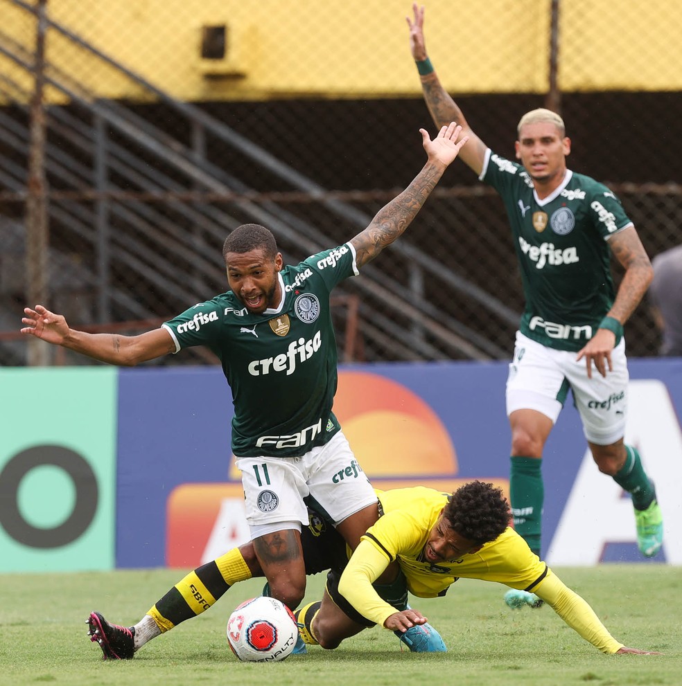 Confira os números do atacante Wesley pelo Palmeiras em 2022