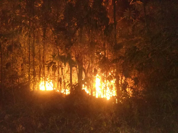 Incêndio atingiu área no Parque Municipal do Cancão, em Serra do Navio (Foto: Reprodução/Rede Amazônica)
