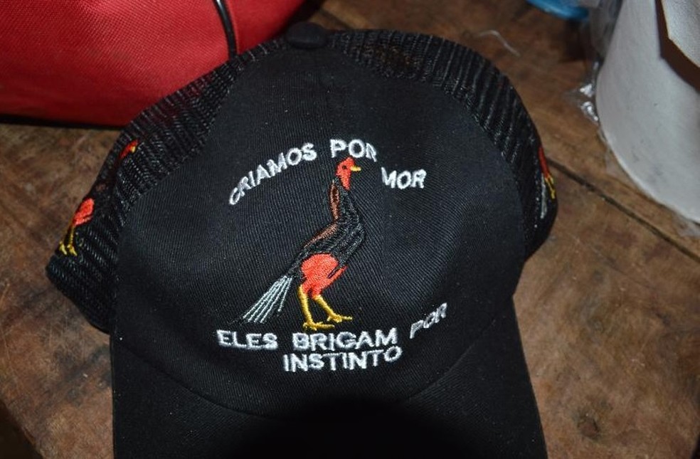 Material de promoção à rinhas de galo também foi apreendido (Foto: Ministério Público/Divulgação)