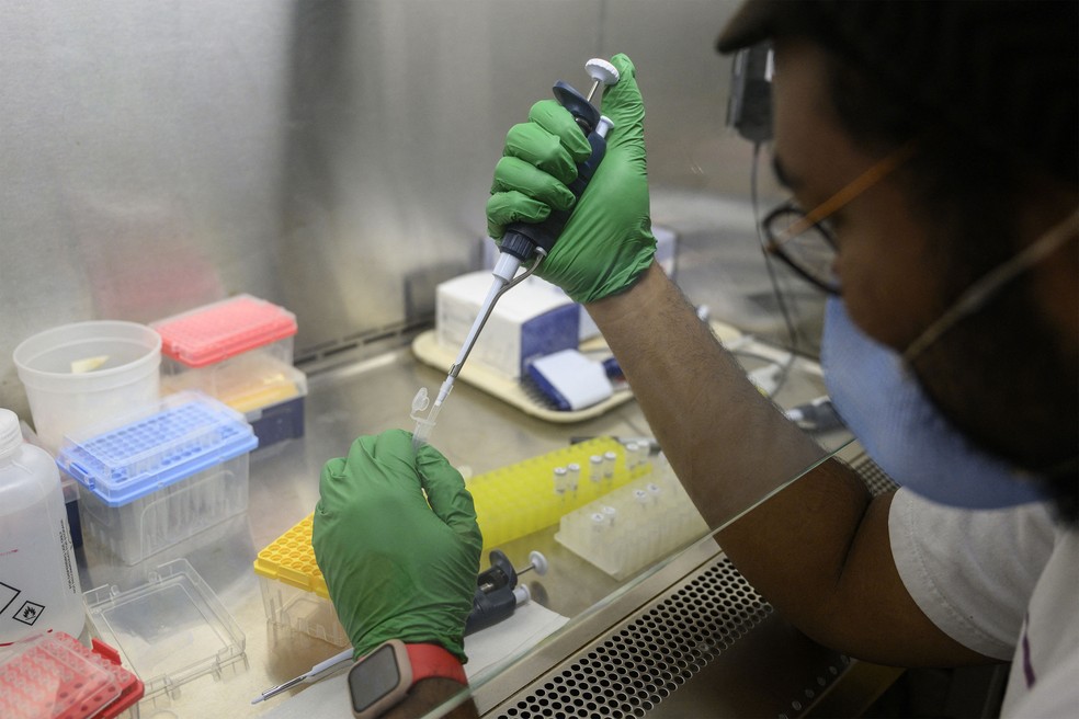 Preparo de exame de PCR de poliomielite no Queens College, em Nova York, em 25 de agosto de 2022 — Foto: Angela Weiss/AFP