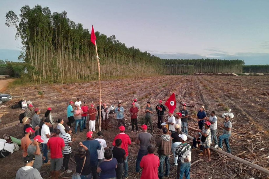 Trabalhadores rurais sem terra invadiram fazendas de eucalipto da Suzano Celulose, na Bahia