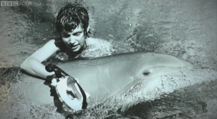 Margareth Howe Lovatt e o golfinho Peter  (Foto: Reprodução/YouTube)