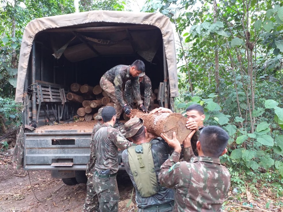 Apreensões feitas durante Operação Verde Brasil 17, em RO — Foto: Operação Verde Brasil 17/ Divulgação 