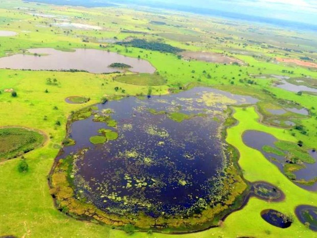 Região alagada em Taquarussu, MS (Foto: Divulgação/ Secretaria de Meio Ambiente de Taquarussu)