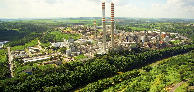 A unidade da empresa em Limeira produz anualmente 700 mil toneladas de celulose, e 400 mil de papel  (Foto: Divulgação)