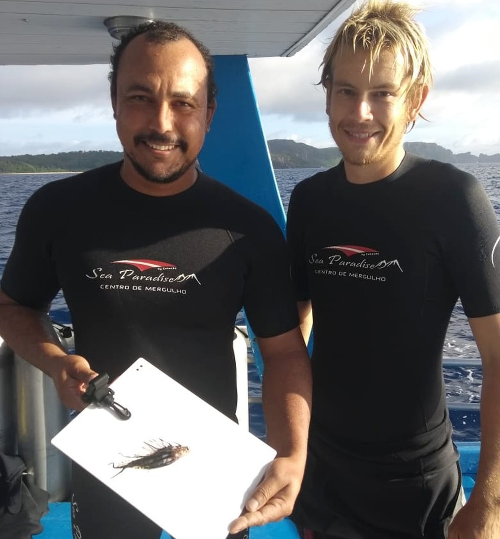 Mergulhadores fizeram a quinta captura de peixe-leão em um mês — Foto: Sea Paradise/Divulgação