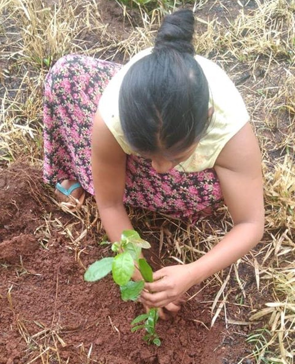 Indígena planta muda de árvore após construtora ter derrubado mata nativa em terreno na Zona Norte de SP — Foto: Reprodução/Facebook