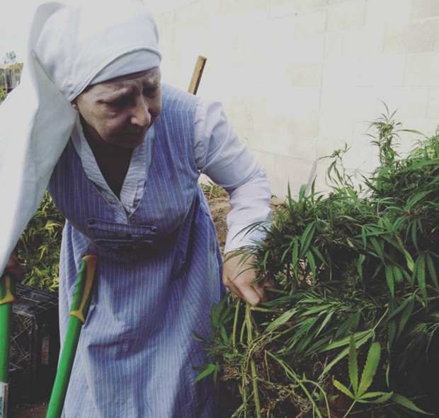 Irmã Kate ajudando no cultivo da maconha (Foto: Reprodução Instagram)