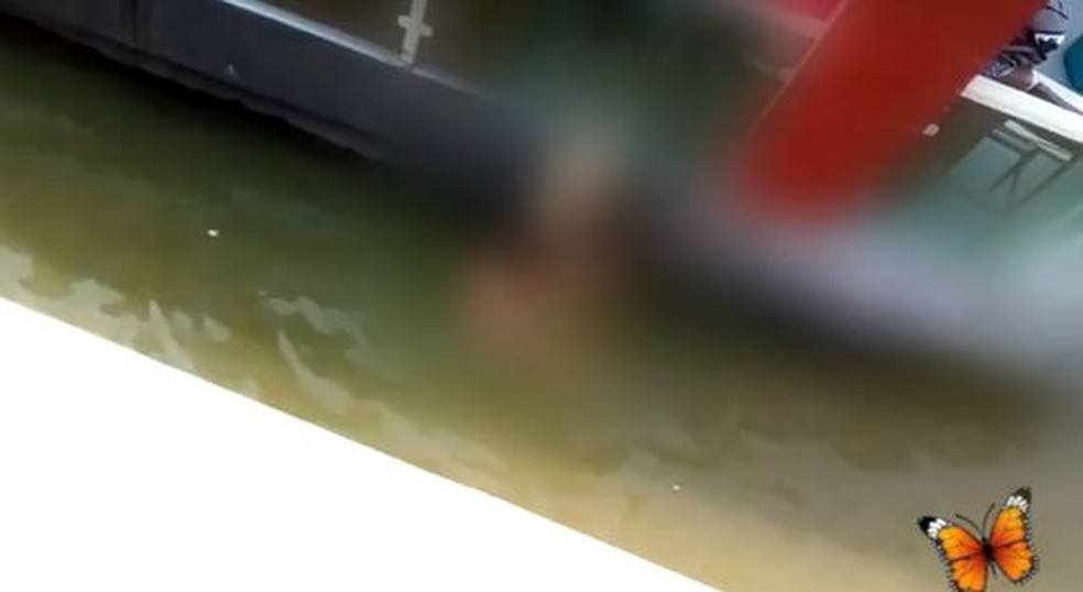 Video de casal fazendo sexo no lago de palmas