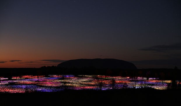 Field of Light Bruce Munro (Foto: CortesiaBruce Munro)