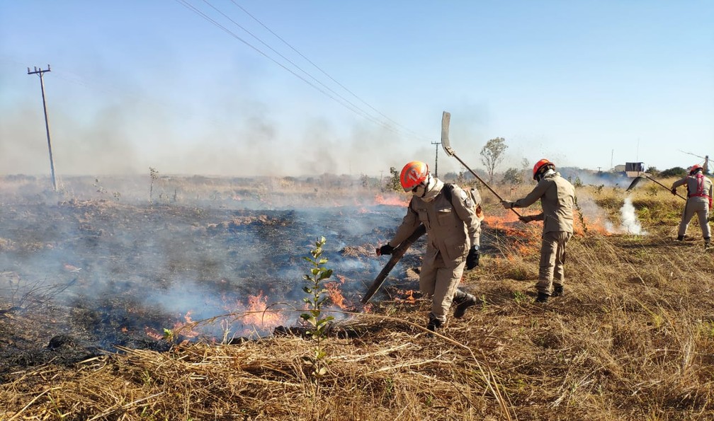 Incêndio foi controlado em pasto em MT — Foto: Corpo de Bombeiros
