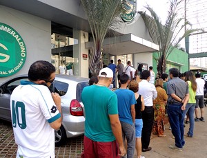 Goiás x Flamengo: venda começa com promoção para esmeraldinos