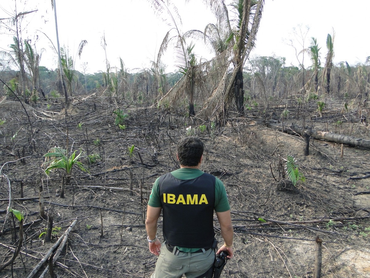Fim do Fundo Amazônia pode afetar fiscalização do Ibama contra o desmatamento