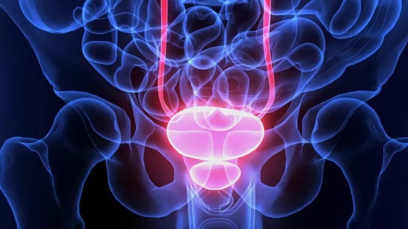A próstata fica logo abaixo da bexiga e chances de câncer são maiores a partir dos 50 anos (Foto: GETTY IMAGES via BBC)