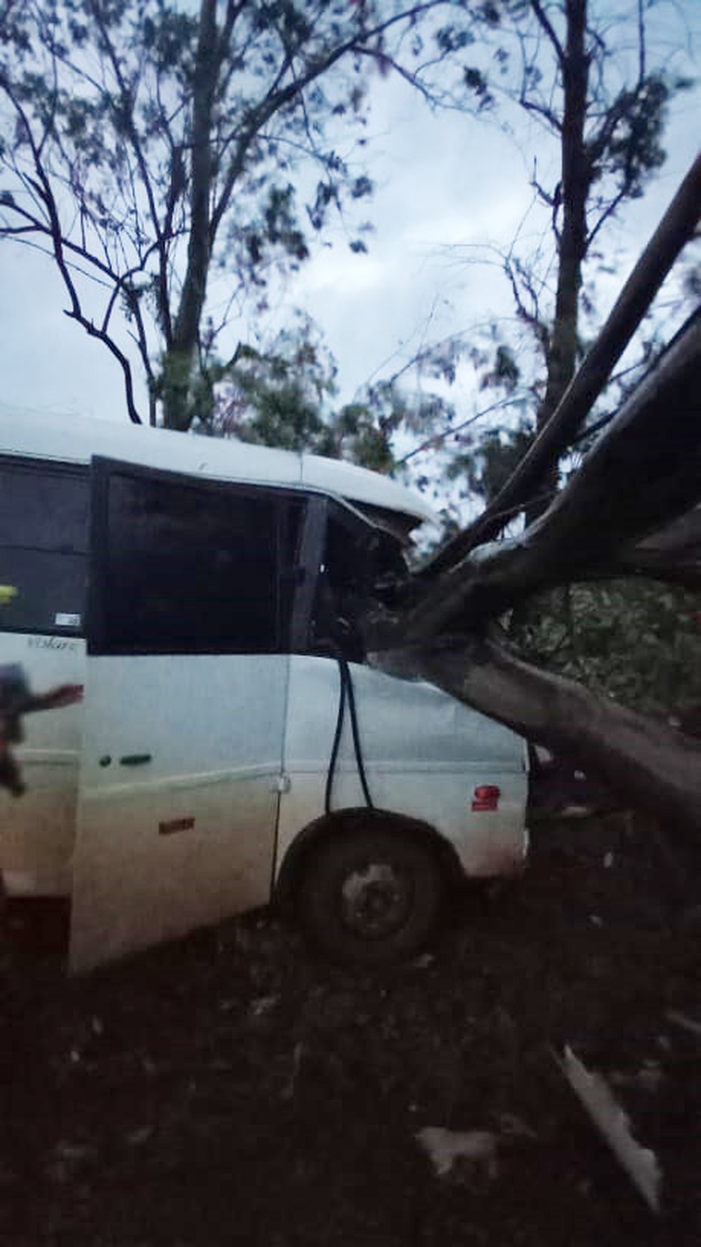Micro-ônibus bateu em árvore caída em estrada em Teodoro Sampaio (SP) — Foto: Corpo de Bombeiros