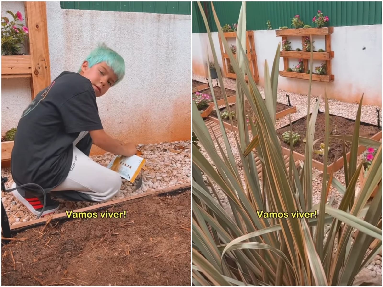 Pedro Scooby mostra filho Bem plantando em horta (Foto: Reprodução/Instagram)