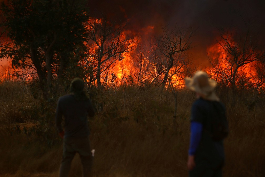 Incêndio consome parte do Parque Juquery em Franco da Rocha, Grande São Paulo, em 23 de agosto de 2021 — Foto: Carla Carniel/Reuters