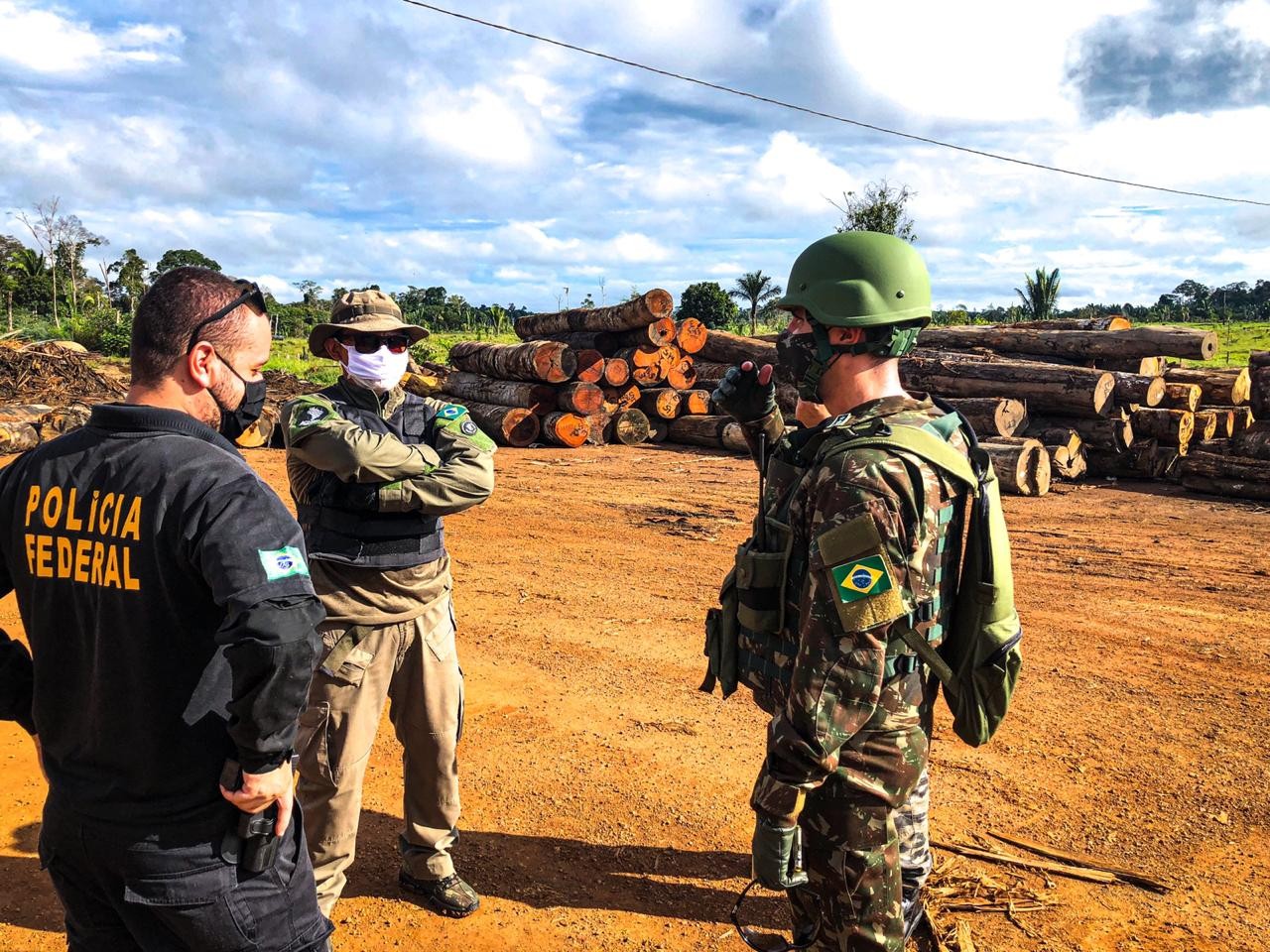 Órgãos iniciam ação para combater extração ilegal de madeira em reserva de Rondônia thumbnail