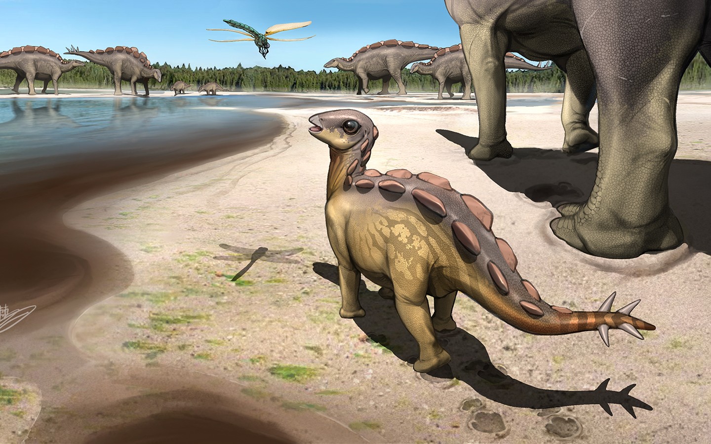Representação artística de um pequeno estegossauro que viveu há cerca de 100 milhões de anos (Foto: Kaitoge)