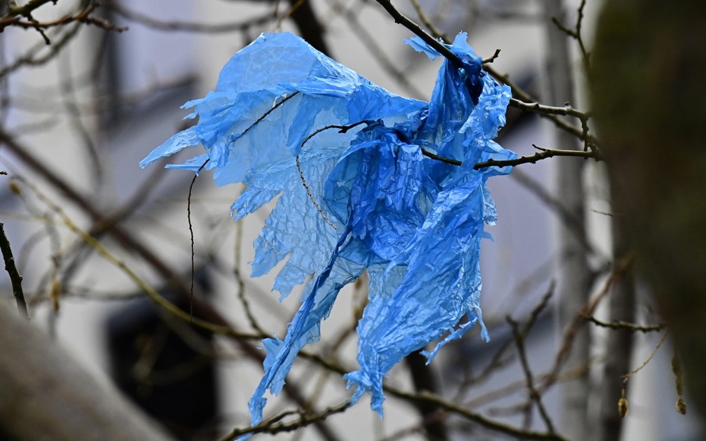 Pedaço de plástico preso em galho em Berlim, na Alemanha — Foto: Tobias Schwarz/AFP