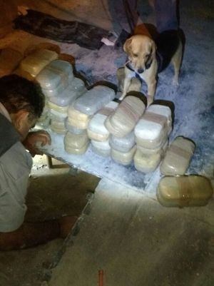Droga estava em fundo falso (Foto: Polícia Militar/Divulgação)