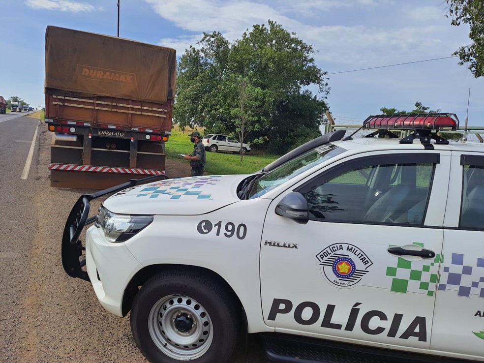 Madeira ilegal apreendida pela Polícia Ambiental é encaminhada a presos para a produção de abrigos para animais — Foto: Polícia Militar Ambiental