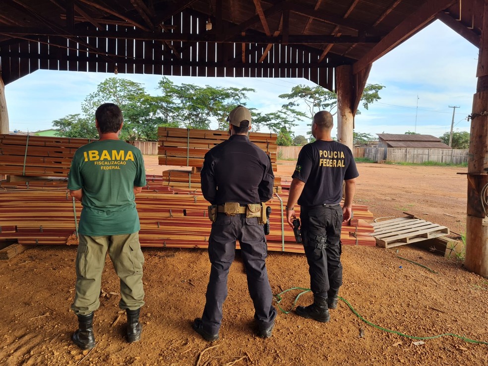 Operação Fake Wood da PF em Rondônia — Foto: Divulgação/PF