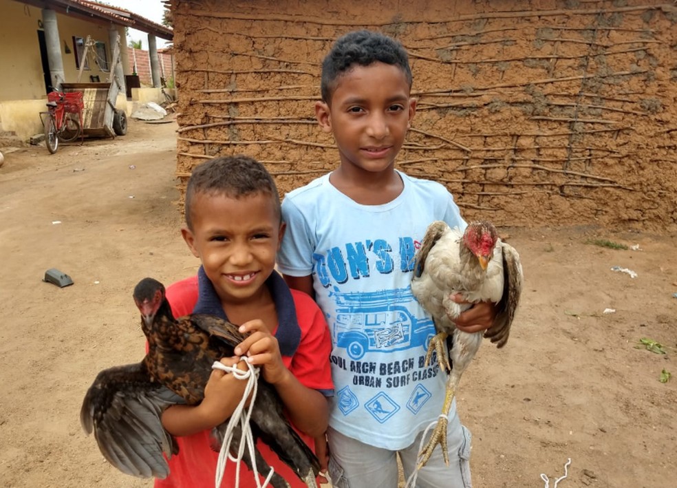 Crianças vão receber gratuitamente durante um ano fornecimento de ovo.  — Foto: Almir Gadelha/Sistema Verdes Mares