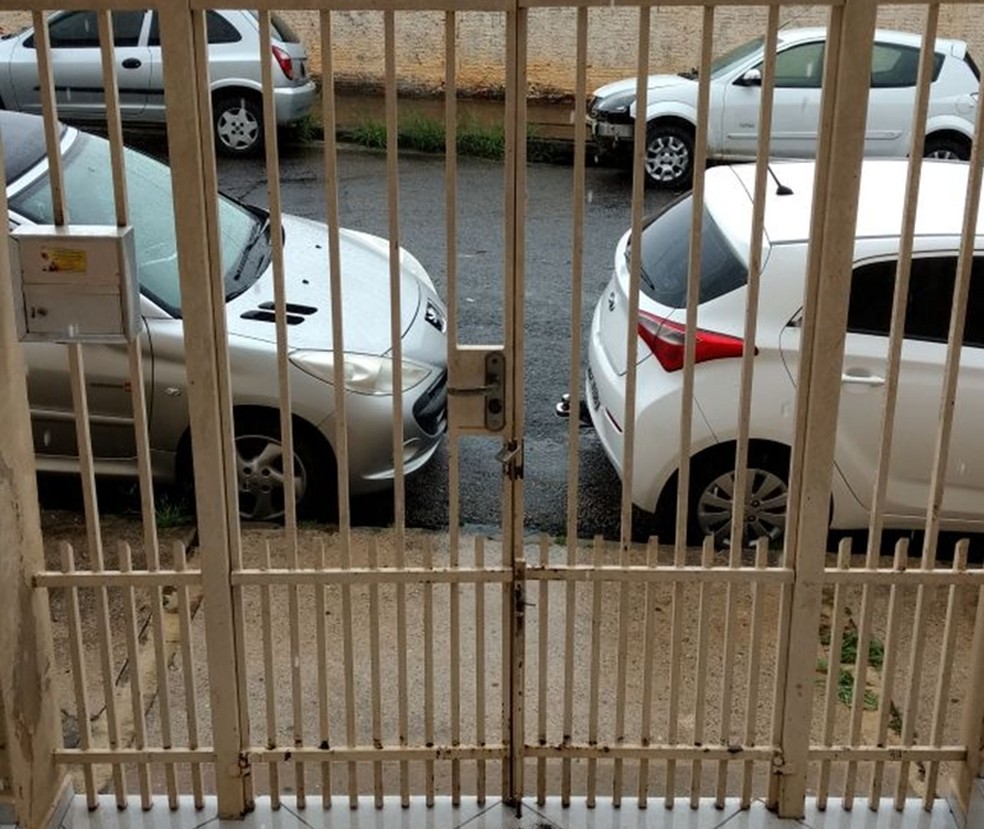 Suspeito pegou cadela por portão de casa em Itapetininga (Foto: Arquivo Pessoal/Wagner Nunes)