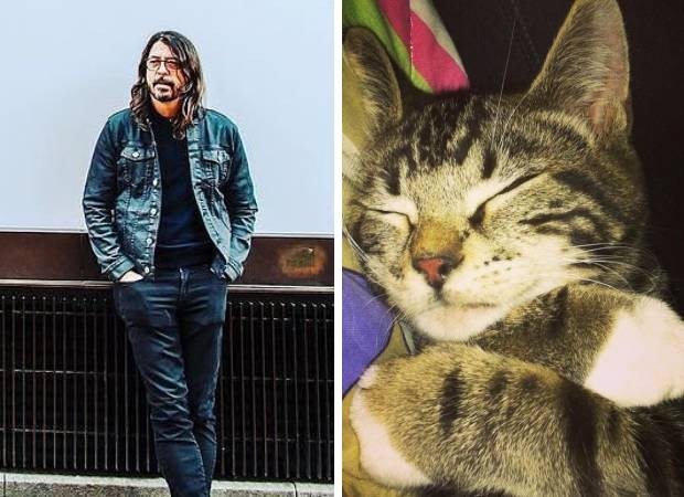Dave Grohl e seu gato de estimação (Foto: Reprodução/Instagram)