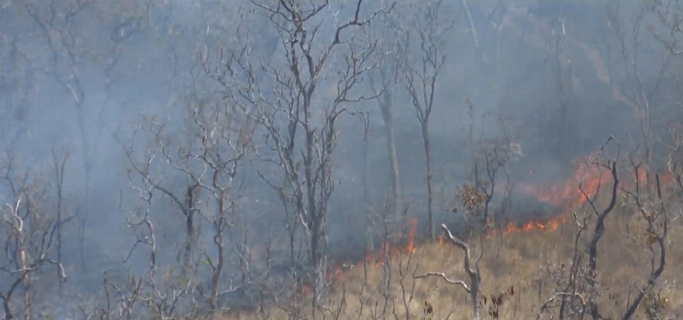 Maranhão registra mais de 14 mil focos de incêndio, diz o Inpe — Foto: Reprodução/TV Mirante