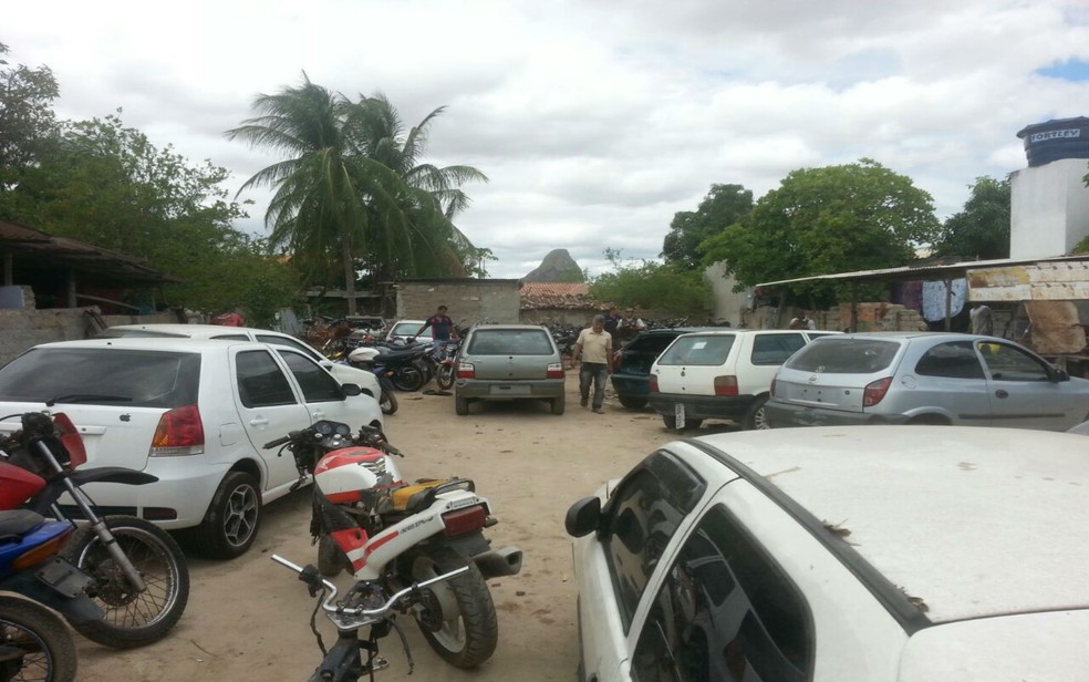 Lotes podem ser visitados até quarta-feira. — Foto: Polícia Civil/ARQUIVO
