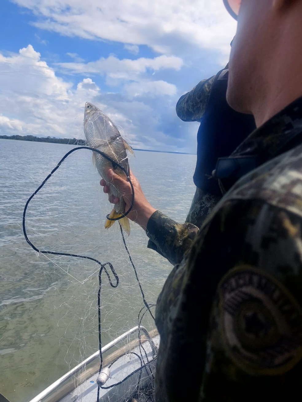 Polícia Militar Ambiental apreendeu 550 metros de redes de pesca no Rio Paraná, em Presidente Epitácio (SP) — Foto: Polícia Ambiental