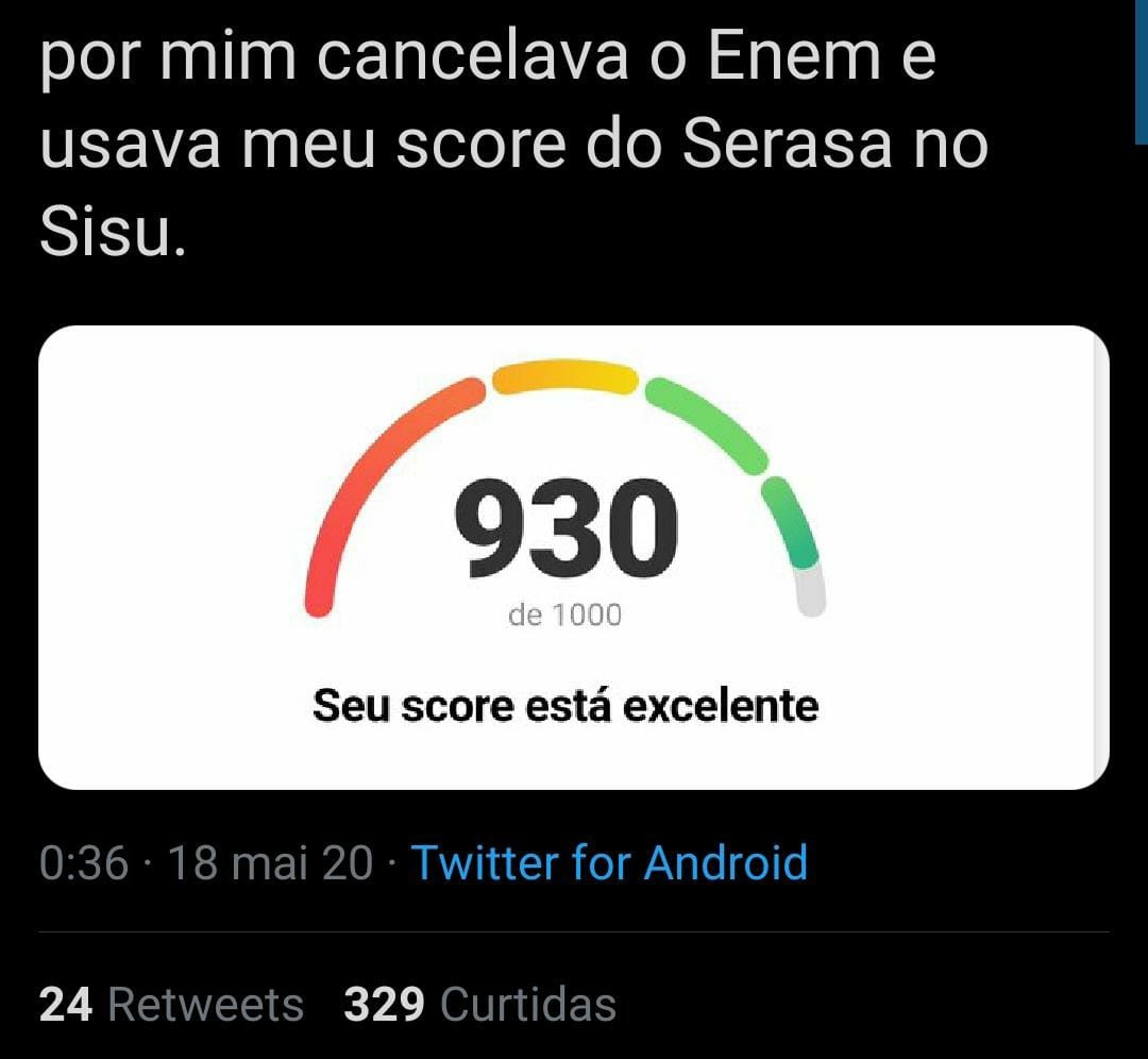 Score do Serasa viraliza (Foto: Reprodução/Twitter)