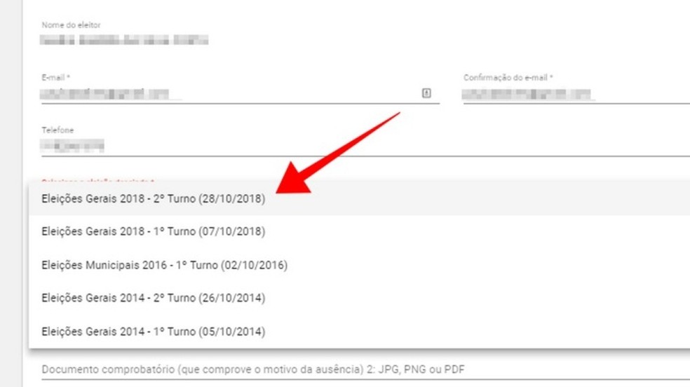 Informe dados do eleitor e selecione uma eleição — Foto: Reprodução/Paulo Alves